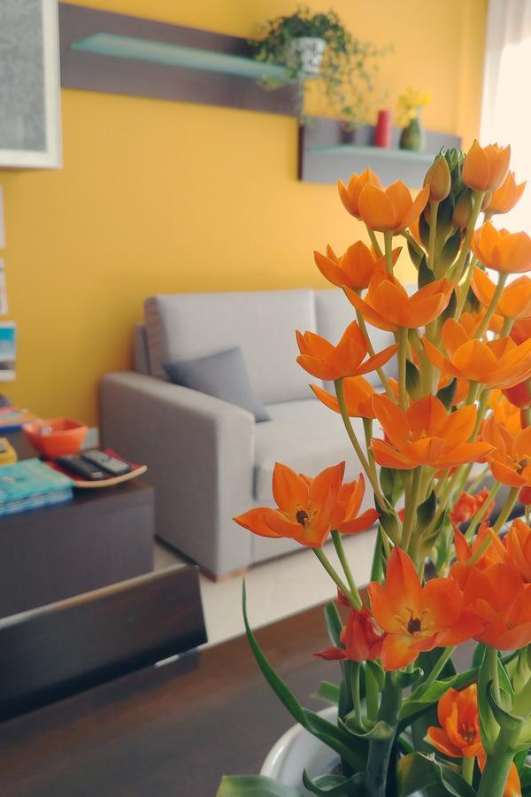 Bed & Breakfast Tiziana Castellammare del Golfo Exterior foto
